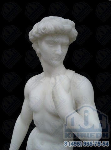 Скульптура из мрамора «Давид» S-020