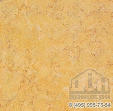 Плитка из натурального мрамора «Санни Дарк» 600х600х20 полированная